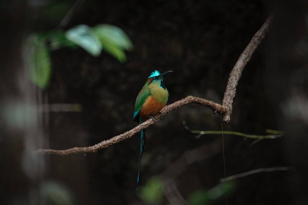 Quels sont les secrets pour écrire un roman historique basé sur la période victorienne ?